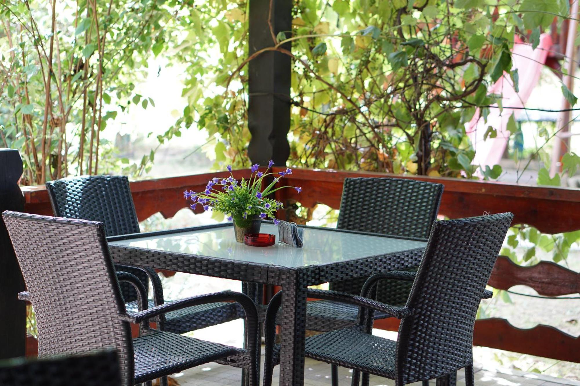 Villa Hanna'S Garden - Mintia Dış mekan fotoğraf