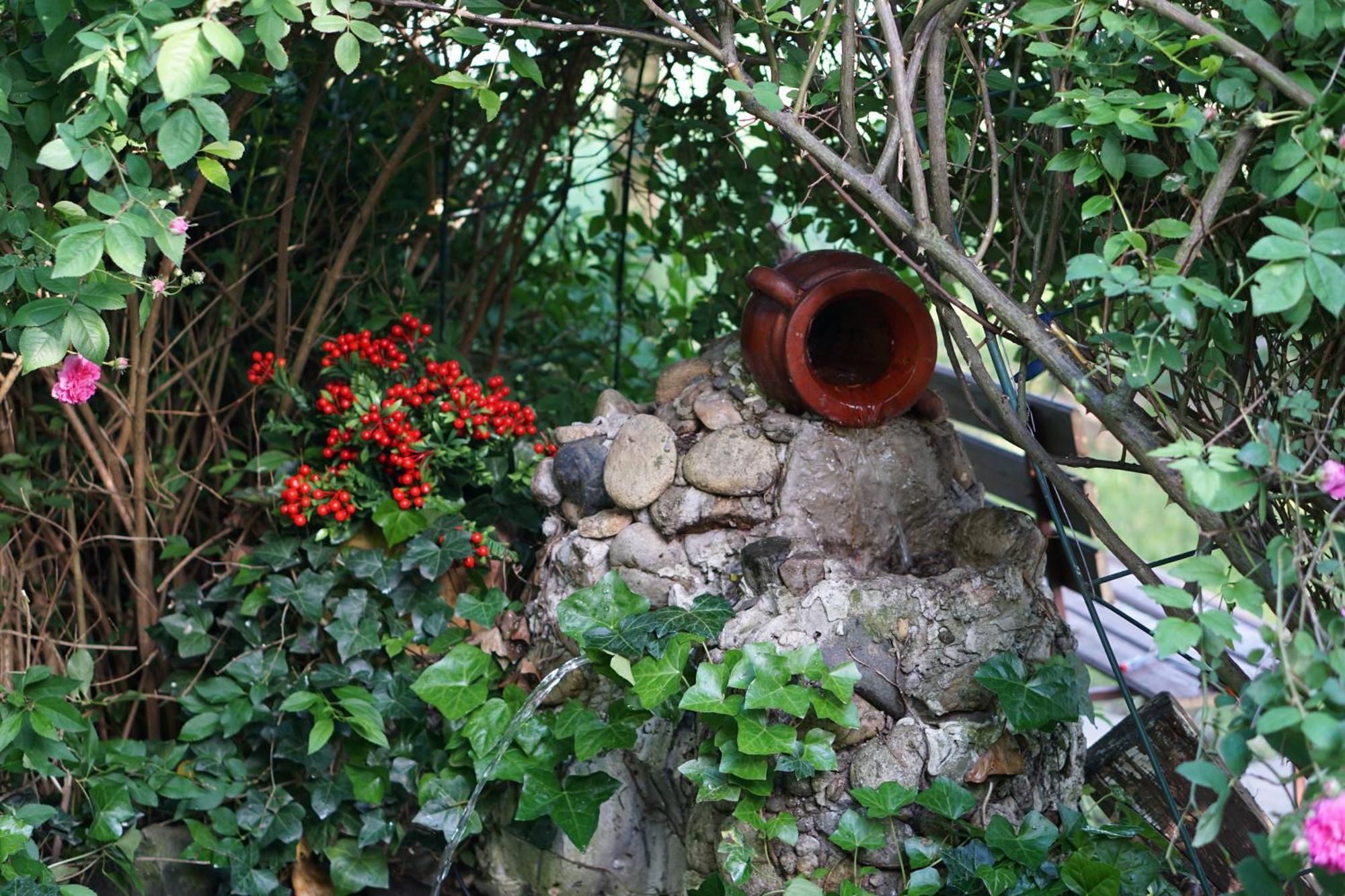 Villa Hanna'S Garden - Mintia Dış mekan fotoğraf