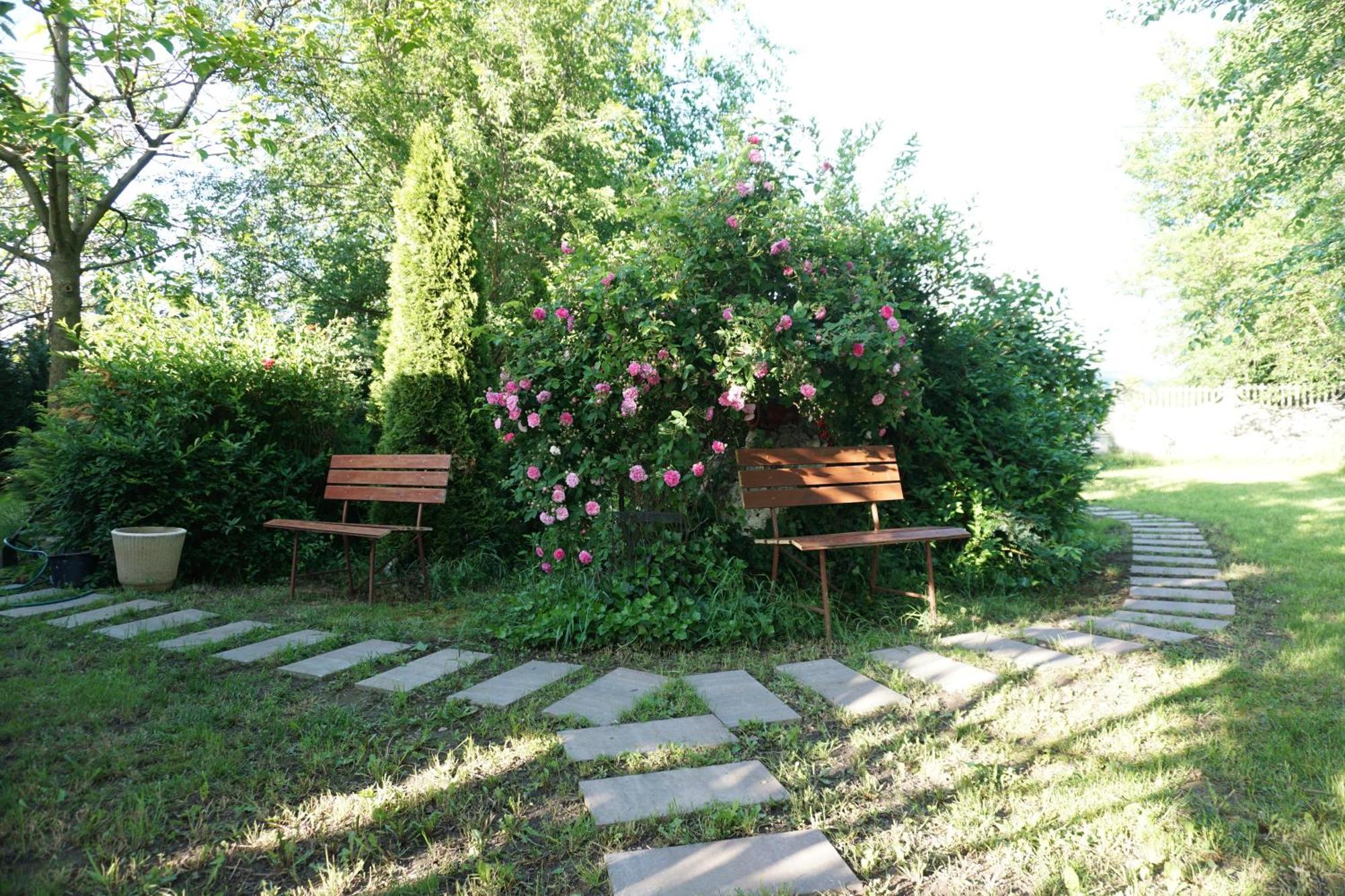 Villa Hanna'S Garden - Mintia Dış mekan fotoğraf